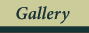 Gallery Tab