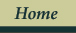 Home tab